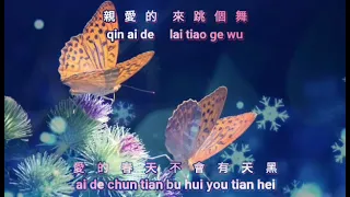 Liang zhi hu die {兩隻蝴蝶} karaoke no vocal 伴奏 male