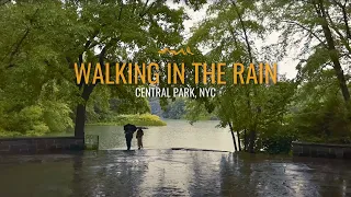 Central Park Rain Walk: Immersive Binaural Rain & Thunder ASMR Experience ☔️