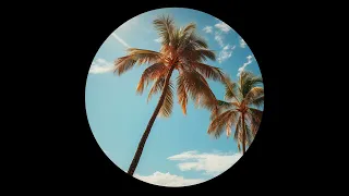 Lofi House Mix 2023 🌴 Best of Lofi House & Chill House Songs Vol. 24