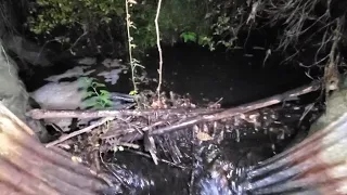 Unclogging Culvert, Starting To Rust Out