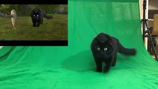 OwlKitty Behind The Scenes (How To Train Your Dragon)