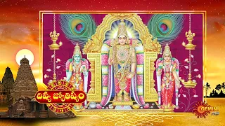 Divya Jyotisham - 29 Mar 2024 | Viswanatha saraswathi | Gemini TV