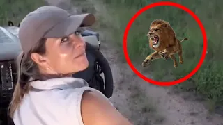 5 Lion Encounters that will SHOCK YOU
