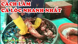 Cách Làm Cá Lóc Nhanh Nhất Mà Cực Kỳ Đơn Giản