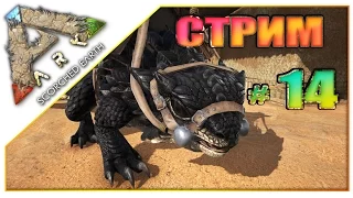 Стрим - ARK Survival Evolved Scorched Earth (14) Зарейдили и задизлайкали