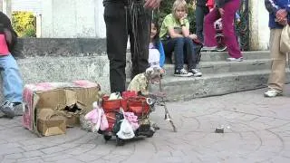 El Señor de la basura, Títeres