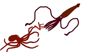 DCBA: Giant Pacific Octopus VS Giant Squid