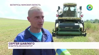 Скоро уборочная: профсоюзы Беларуси проверяют условия труда на сельхозпредприятиях