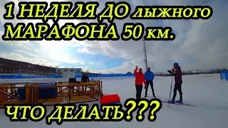 1 НЕДЕЛЯ до моего ПЕРВОГО ЛЫЖНОГО МАРАФОНА 50км. ЧТО ДЕЛАТЬ?