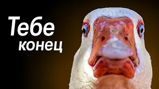 Я гусь - я дое*усь (Untitled Goose Game)