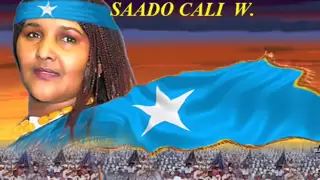 Saado Cali Warsame | New Song 2012 - "Buuhoodle Maxaa Kayaala?.."