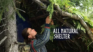 1 Hour Relaxing Camping: Building a PRIMITIVE SHELTER - Nordic Forest