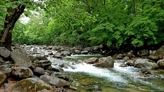 Рыбалка в Приморье. Река Средняя Литовка. 05.06.2019 г.