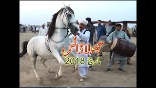 Best horse dance in pakistan No.14
