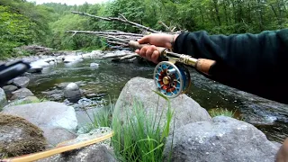 Streamer Fishing the Wilson River for Beautiful Cutthroat