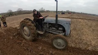 1955 Ferguson TEF20 2.1 LItre 4-Cyl Diesel Tractor (28HP) With Ferguson Plough