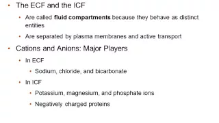 Acid and Base, Water Balance Chapter 27