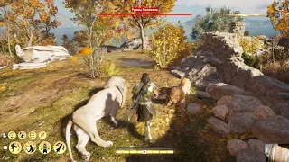 Assassin's Creed  Odyssey   жажда заключений