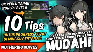 10 Tips Minggu Pertama Wuthering Waves! Cara Meningkatkan Drop Rate Echo Rank 5