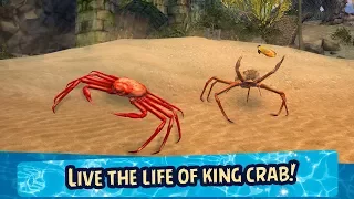 🦀Crab Simulator 3D-Симулятор Kрабов-By WonderAnimals-Android