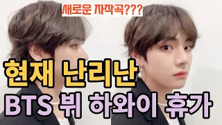 현재 난리난 BTS 뷔의 하와이 휴가 [ENG SUB]