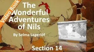 14 - The Wonderful Adventures of Nils by Selma Lagerlöf - Two Cities