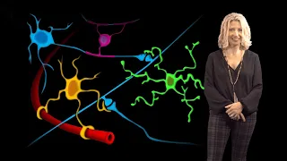 Beth Stevens (Boston Children’s) 1: Microglia States in Health and Disease