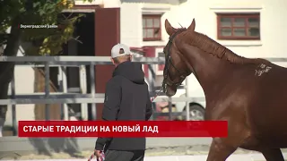 Французские спортсмены в конезаводе в Зерноградском районе