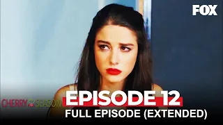 Cherry Season Episode 12 (Extended Version)