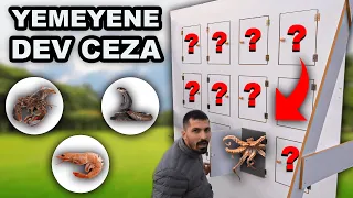 KENDİ BAŞINIZA DENEMEYİN!