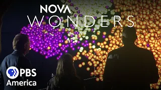 What's Living in You? FULL EPISODE | NOVA Wonders | PBS America