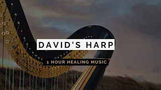 HEALING : | 1 Hour Meditation Music | Instrumental Music |