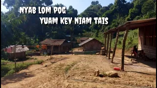 nyab lom pog yuam kev rau niam tais 19-10-2022