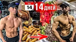 МОЯ ЭКСТРИМАЛЬНАЯ СУШКА ЗА 14 ДНЕЙ | РЕЗУЛЬТАТ ШОКИРОВАЛ