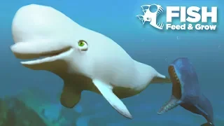 MOBY DICK EATS THEM ALL!!! - Fish Feed Grow