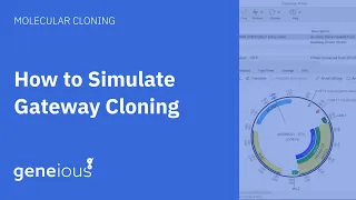 How to Simulate Gateway Cloning with Geneious Prime