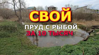 Искусственный пруд своими руками с рыбой за 10 тысяч рублей.