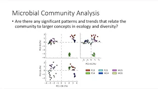 Tutorial: Statistical Analysis of Metagenomic Profiles (STAMP)