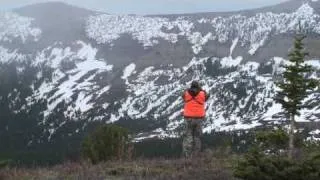 Spring Bear Hunt 2010 - Montana