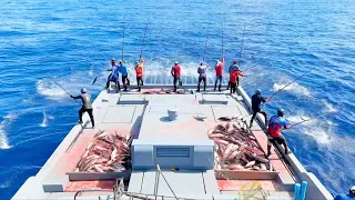 Full video of catching skipjack tuna 🎣