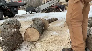 Cutting firewood with Stihl MS250 chainsaw