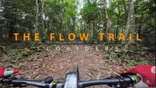 THE FLOW TRAIL