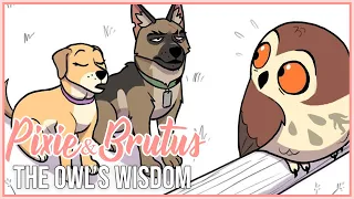 Athena's Wisdom... and Lola | Pixie and Brutus Comic Dub