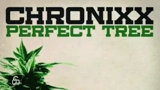 Chronixx - Perfect Tree [lyrics]