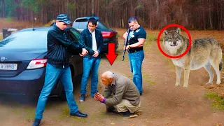 Bandits Attacked an Old Man, Then a Wolf Suddenly Appeared. You Won't Believe What Happened Next!