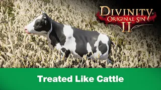 Quest Divinity Original Sin 2 Treated Like Cattle