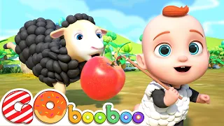 Baa Baa Black Sheep | Fun Animal Sing Along | GoBooBoo Kids Songs & Nursery Rhymes