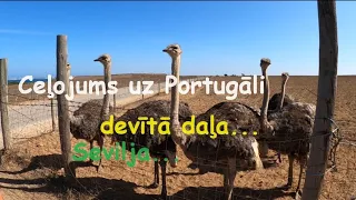 Ceļojums uz Portugāli - devītā daļa... Sevilja...