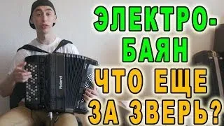 Электро БАЯН "Что еще за зверь?"