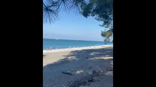 Пицунда район дикого пляжа 08.07.2021